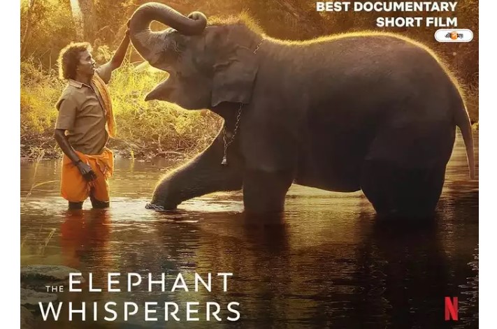 The Elephant Whisperers : un éléphant, ça peut tromper énormément